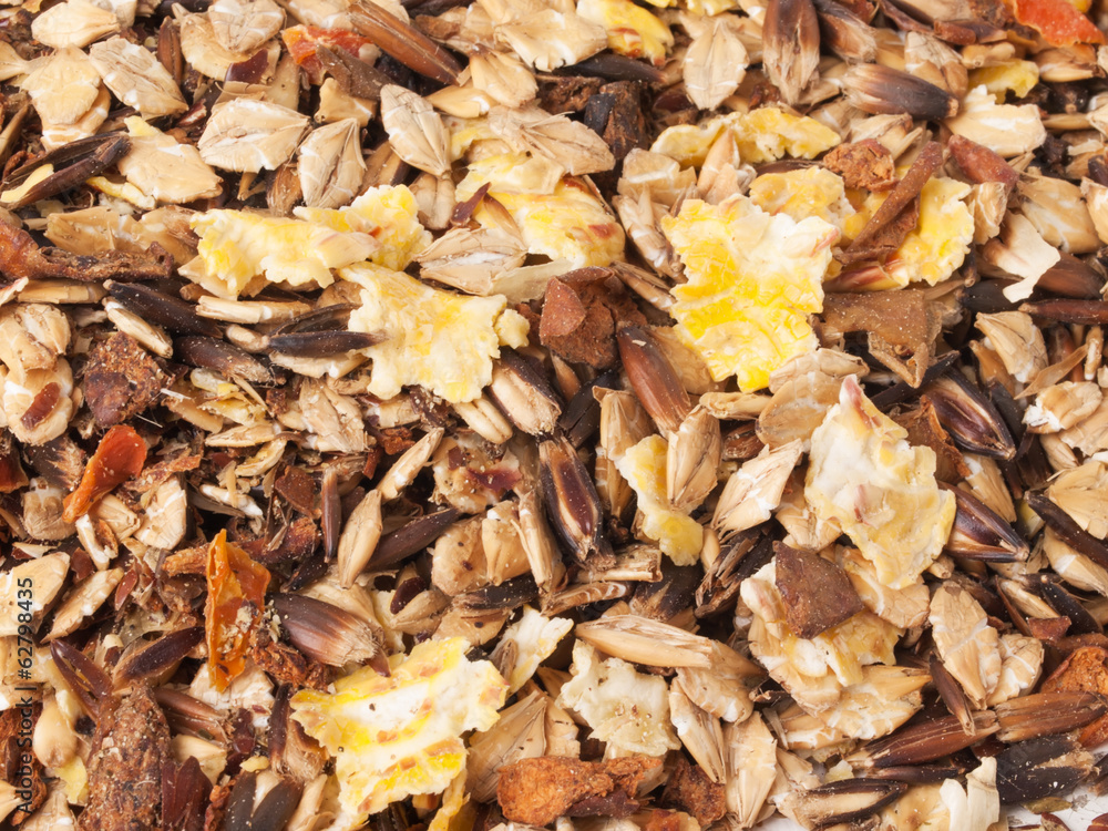 sportive muesli background. for horse. sportive muesli background. for horse.