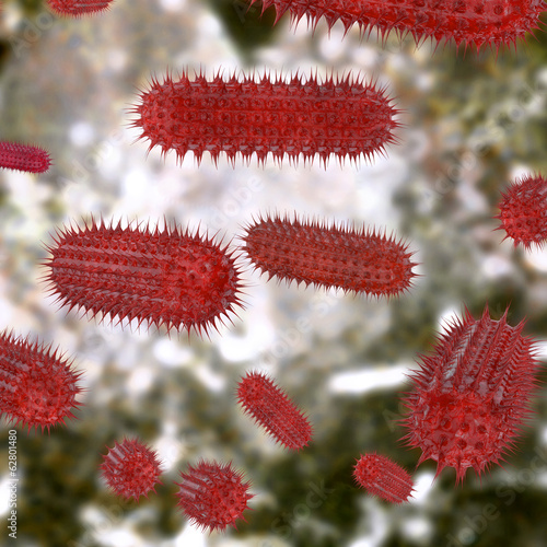 Proteus Bakterien - 3d Render photo