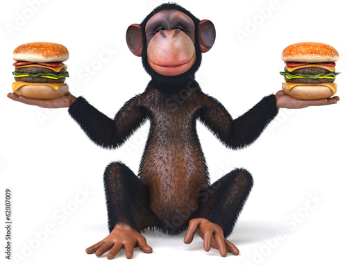 Obraz na plátně Monkey