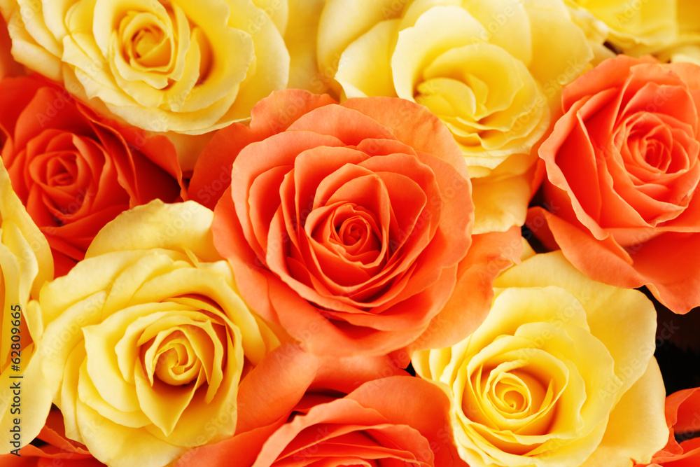 background of roses background of roses