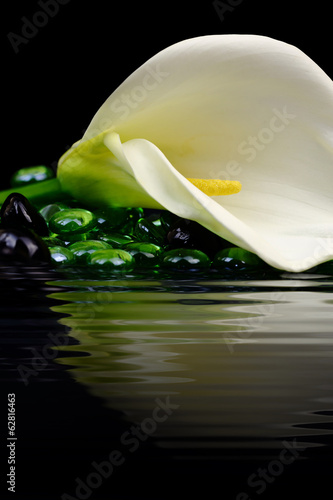 Fototapeta Naklejka Na Ścianę i Meble -  Beautiful white Calla lily reflected in water