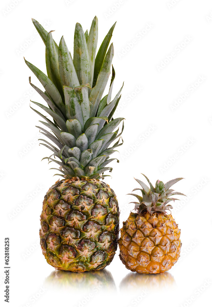 pineapple pineapple