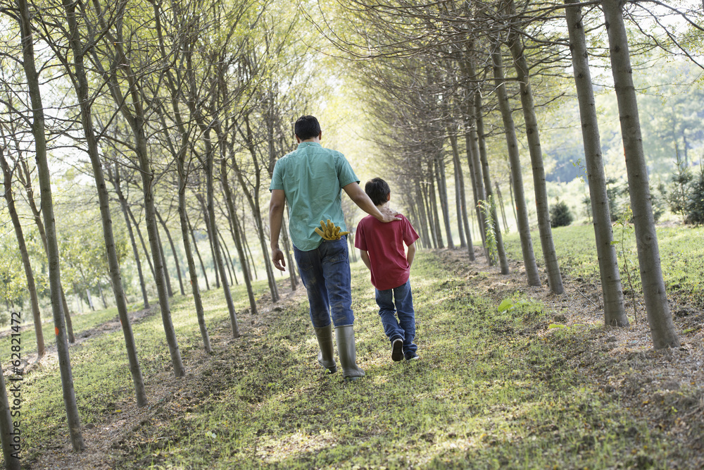A man and a young boy walking down an avenue of trees. A man and a young boy walking down an avenue of trees.