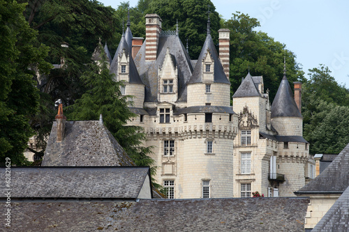 Castel of Rigny-Usse   Loire Valley, France photo