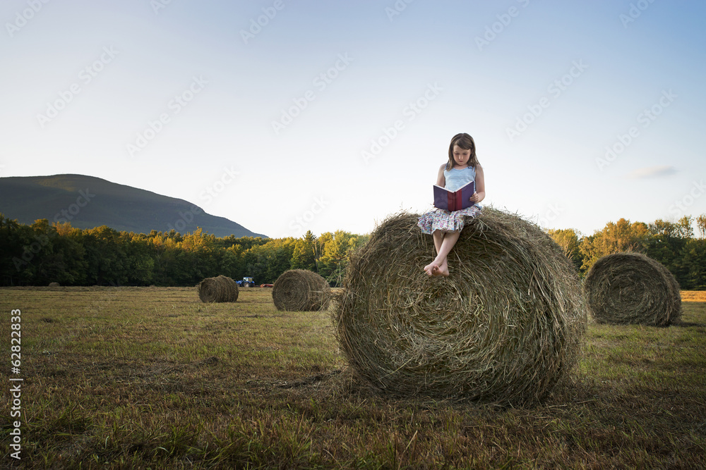 A field full of tall rounded hay bales, and a young girl sitting on the top of one large bale. A field full of tall rounded hay bales, and a young girl sitting on the top of one large bale.