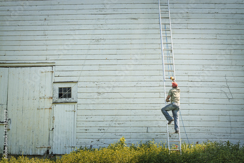 A man climbing a ladder propped against a clapboard barn or farm building. 
