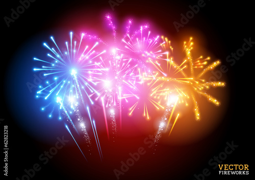 Bright Fireworks Display Vector