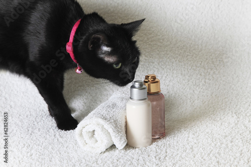 Fototapeta Naklejka Na Ścianę i Meble -  bodycare products