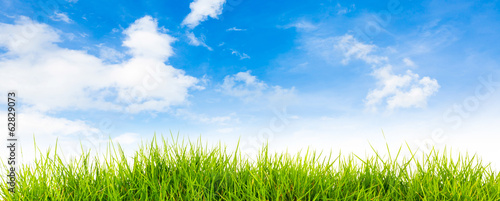 Spring nature background with grass and blue sky in the back  , © jannoon028