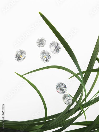 Green strap leaves in a group, with small glass gem cut beads sparkling and reflecting light.  photo