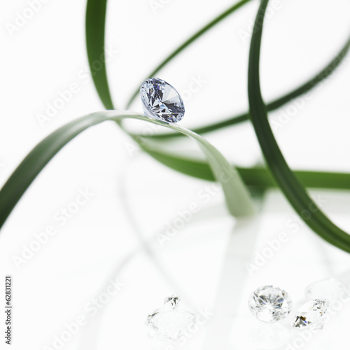 Thin strap green leaves or leaf strands with a small glass bead or gem, with cut facets reflecting the light. photo