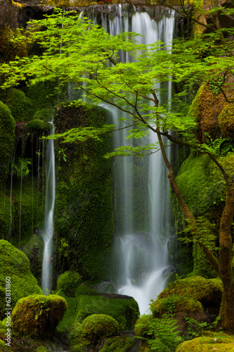 Waterfall, Columbia River Gorge, Oregon, USA #62831860