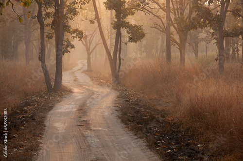 Bandhavgarh National Park, India #62832083