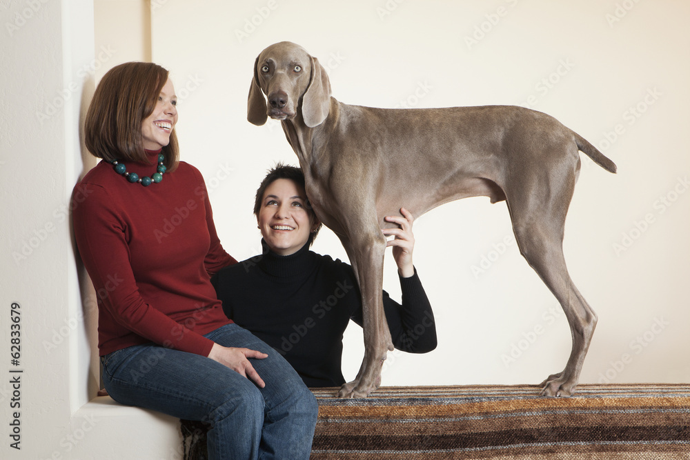 A same sex couple, two women posing with their Weimaraner pedigree dog.  Stock Photo | Adobe Stock