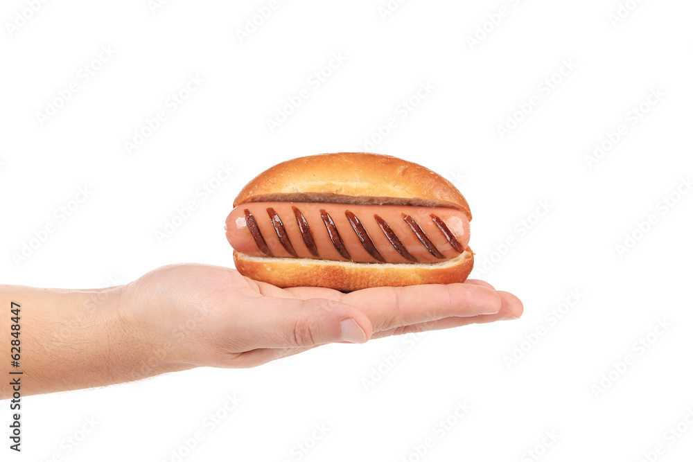 Hand hold hotdog Hand hold hotdog