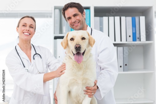 Fototapeta Naklejka Na Ścianę i Meble -  Happy veterinarians with dog