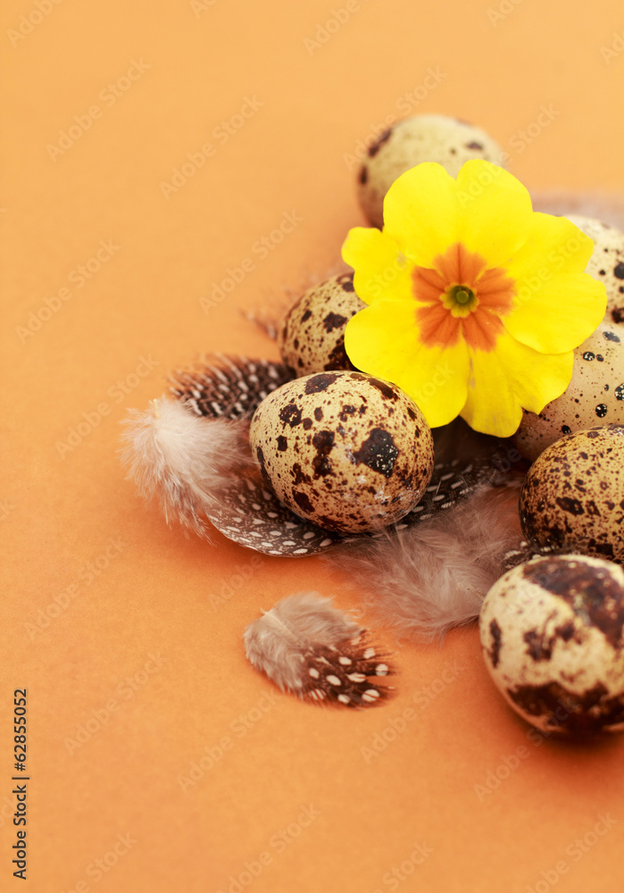 Obraz premium ostern