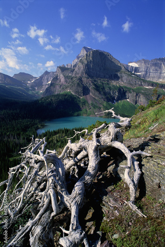 The landscape of Glacier National Park, over Grinnel Lake and the Grinnell Glacier. Mountains and snow. Dead tree trunk and branches.  photo