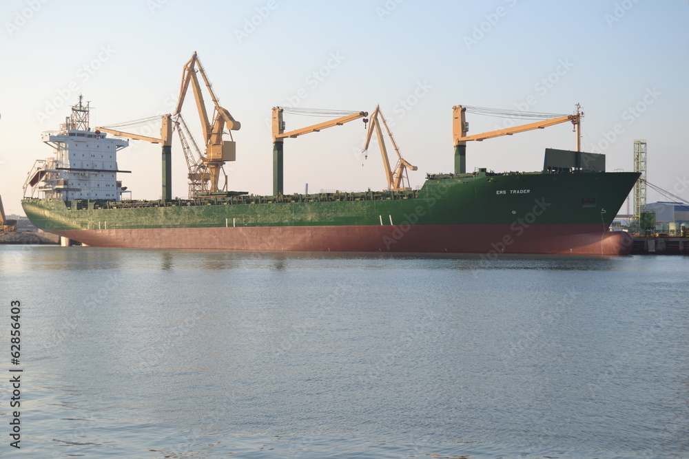 Naklejka premium The ship