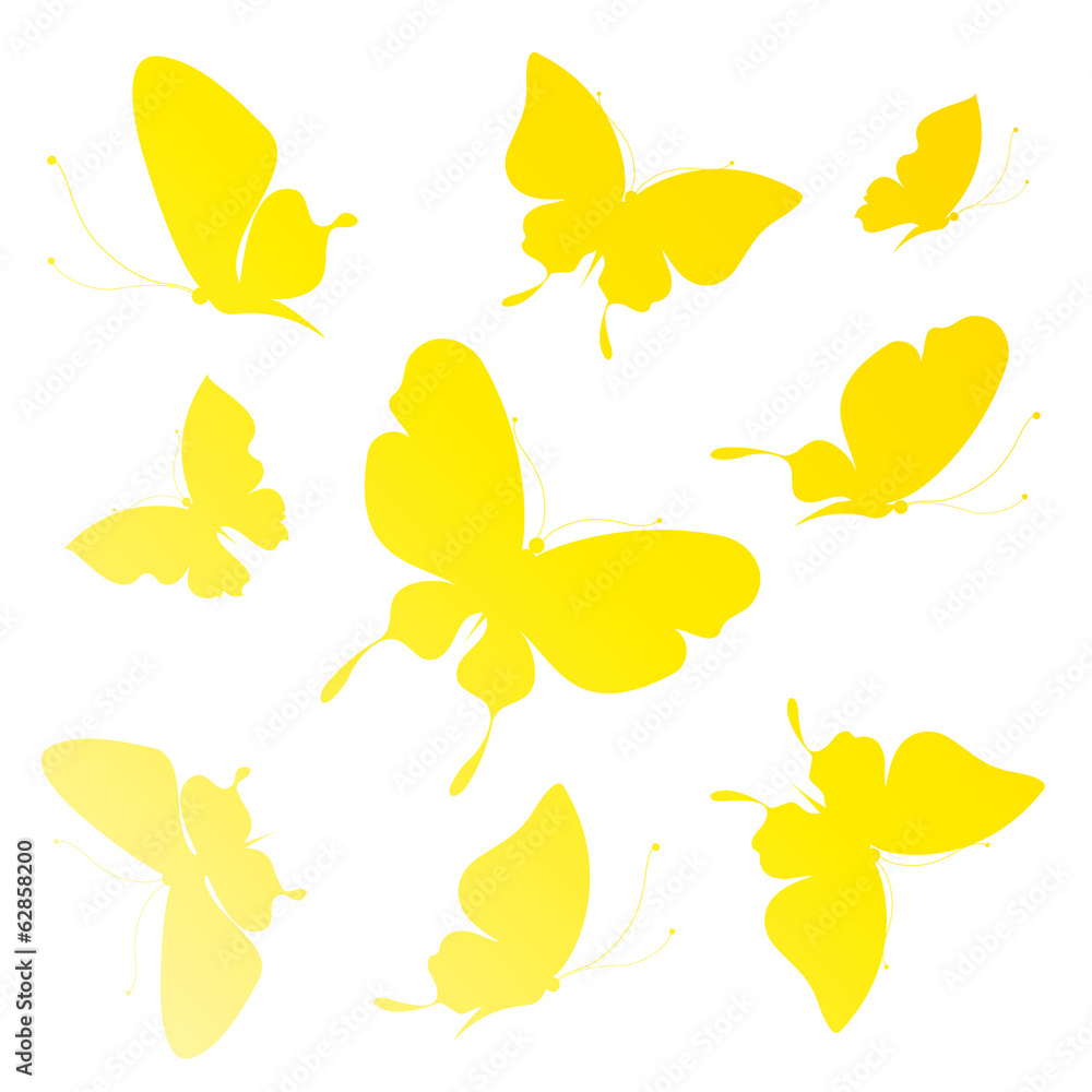 Obraz premium butterflies design