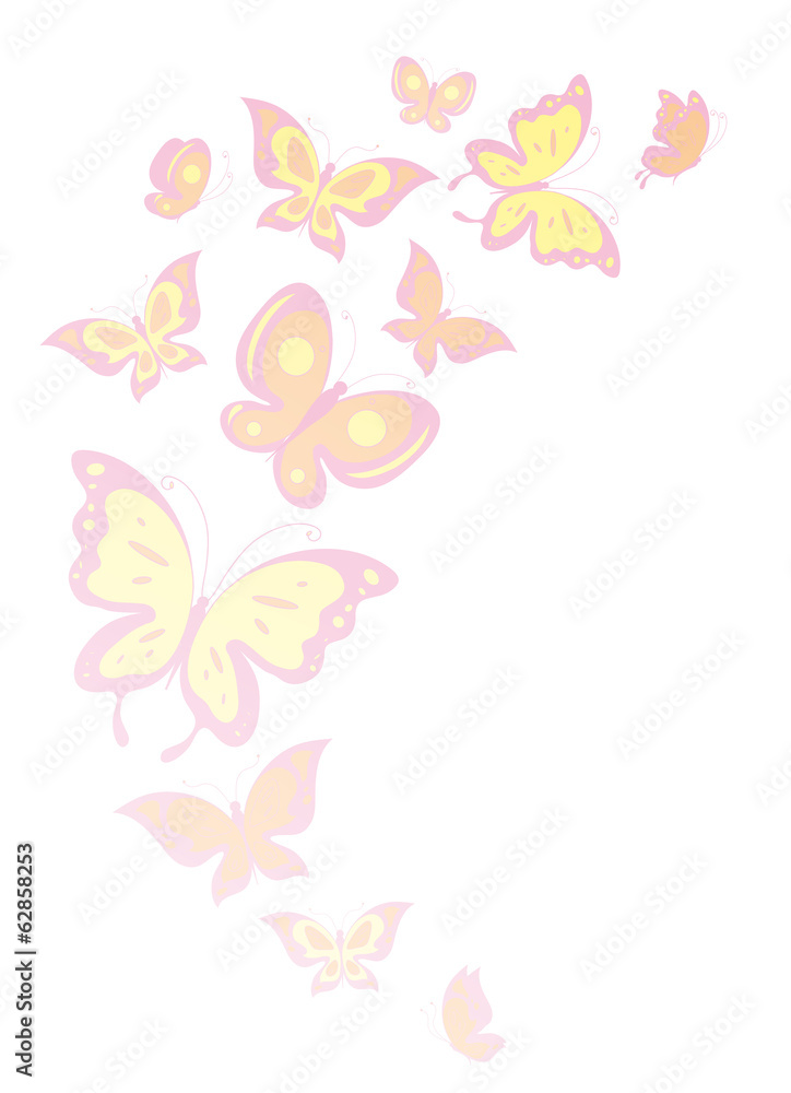 butterflies design