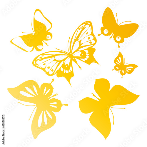 butterflies design