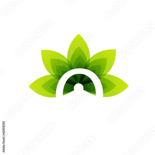 Organic leaf logo
