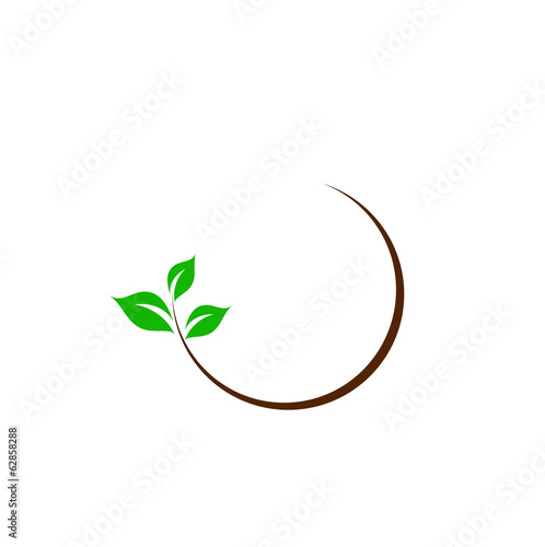 Organic leaf logo