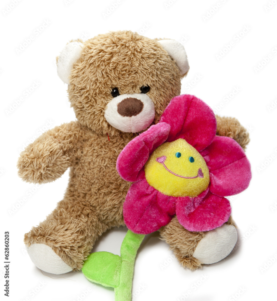 Obraz premium ours en peluche et fleur rose