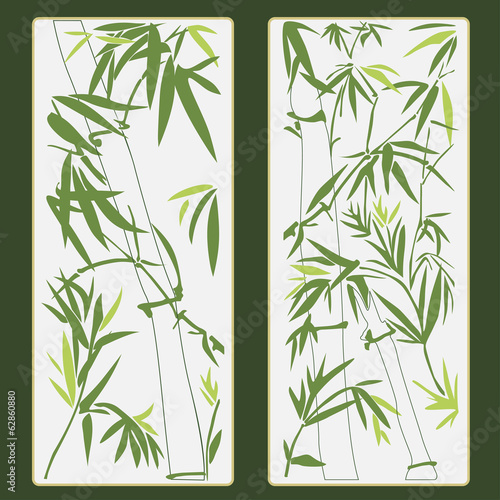 Fototapeta Naklejka Na Ścianę i Meble -  Bamboo vector illustration