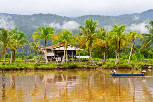 фотографія Borneo