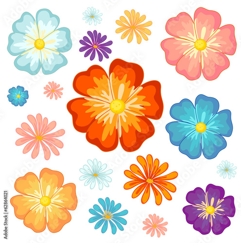 Big and small flowers