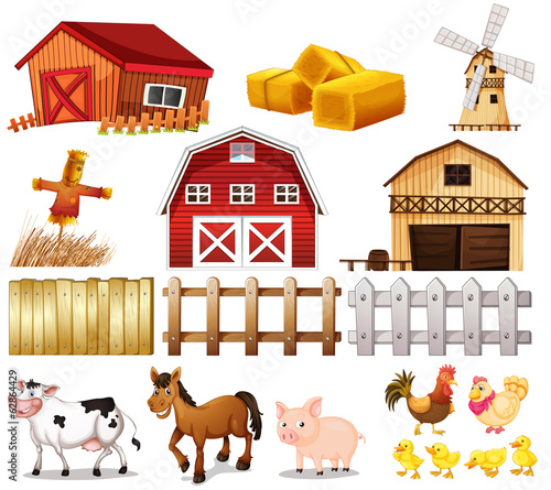 Things and animals found at the farm