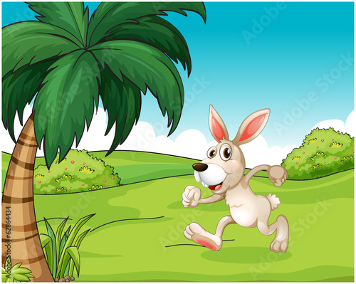 A bunny running at the hilltop