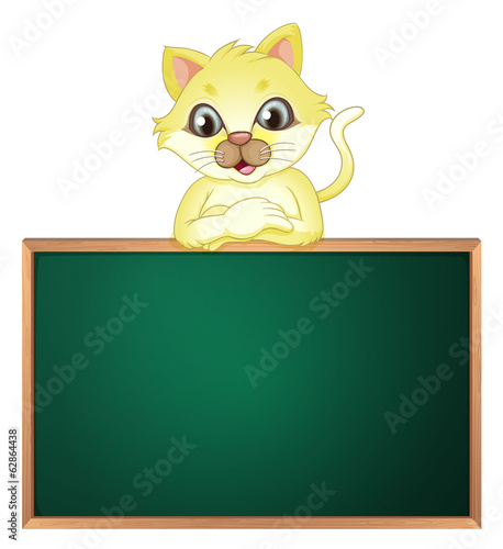 A yellow cat above the empty blackboard