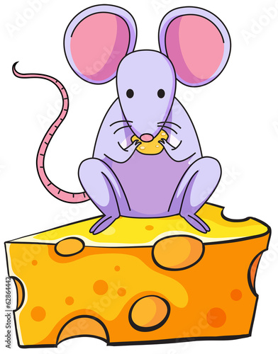 A rat eating above the big slice of cheese