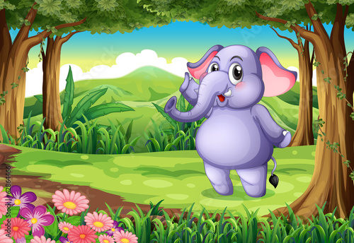 An elephant at the woods