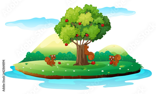 An island with three playful beavers