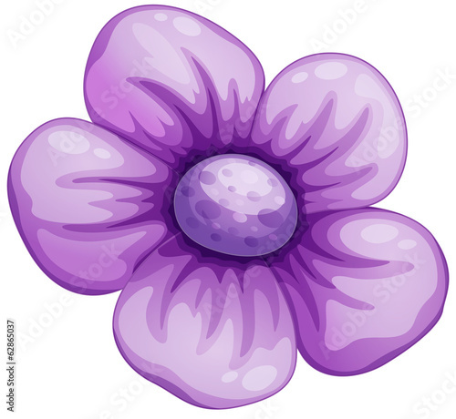 Fototapeta Naklejka Na Ścianę i Meble -  A violet flower