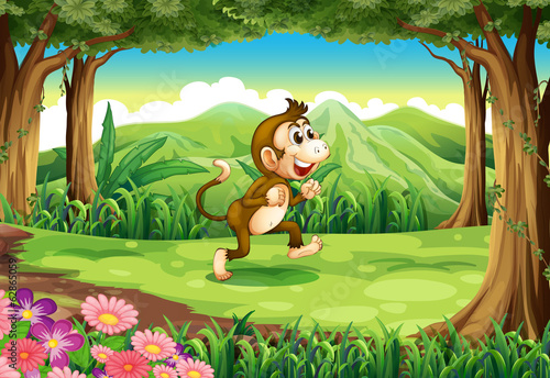 A smiling monkey at the jungle