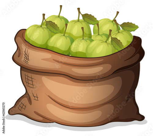 A sack of guavas