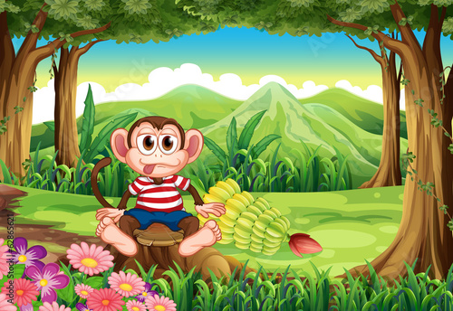 A forest with a monkey above the stump