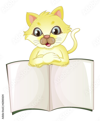 A cute yellow cat opening an empty book