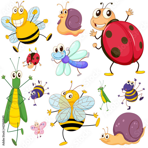 A group of insects