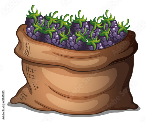 A sack of fresh strawberries