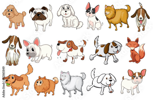 Different breeds of dogs
