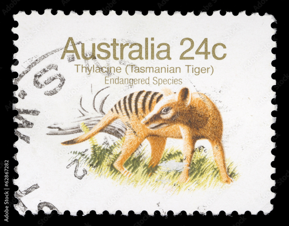 Fototapeta premium Stamp printed in Australia shows Tasmanian Tiger, circa 1981
