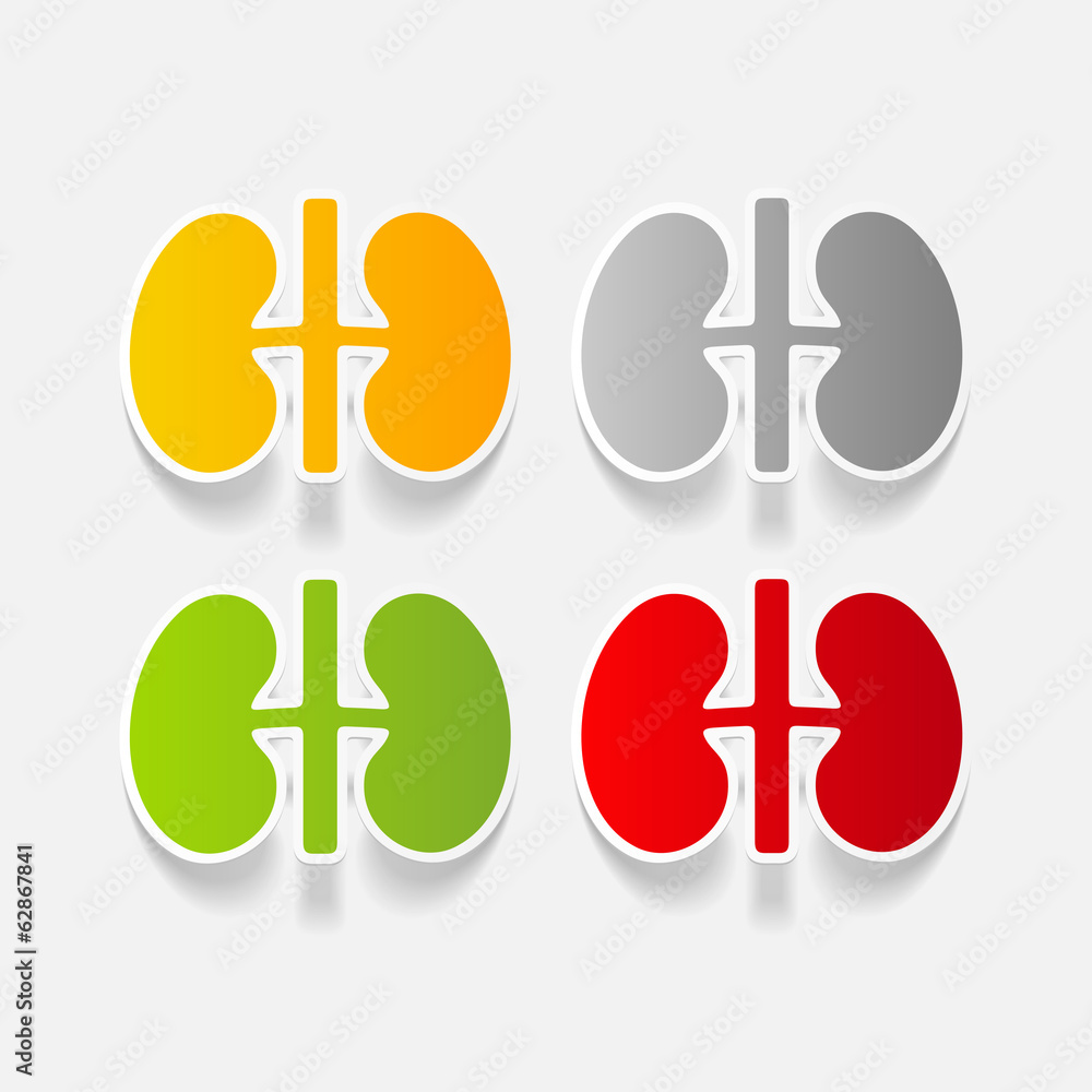 Obraz premium realistic design element: kidneys, medical
