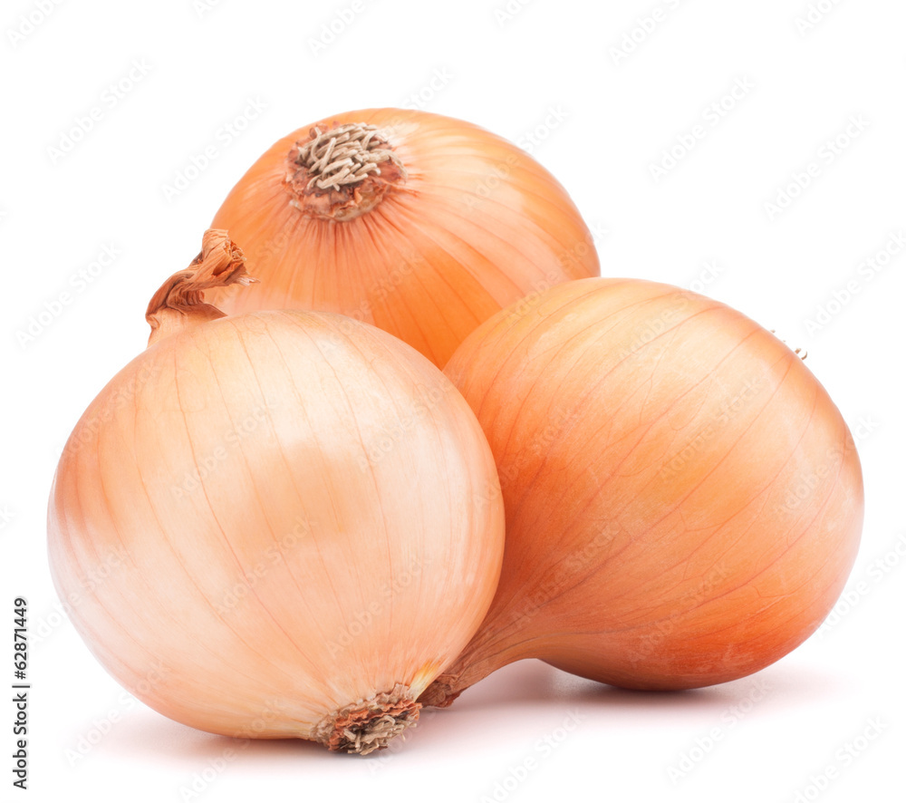 Gold onion vegetable bulbs Gold onion vegetable bulbs