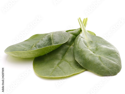 Spinach vegetables cutout